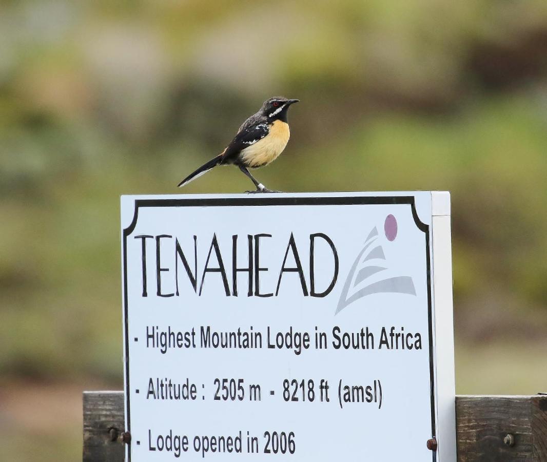 Tenahead Lodge & Spa Rhodes Esterno foto
